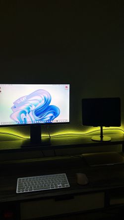 22” inch monitor