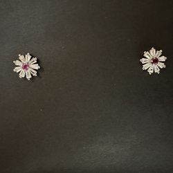 Natural Mineral Ruby S925 Silver Earrings