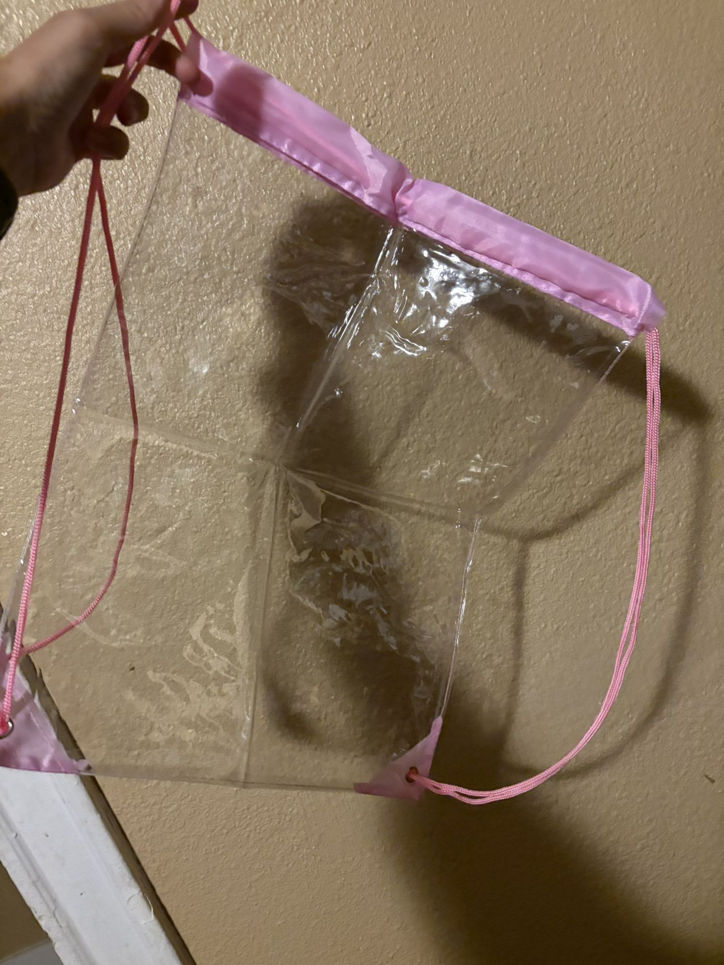 PVC Clear Pink Backpack