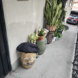 Big Plant Yard Sale Now!!!!!!!