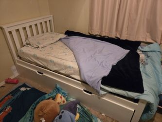 Max and Lily Twin Trundle bed frame