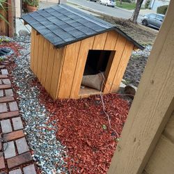 Dog House