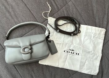 Gray Coach Pillow Tabby 20