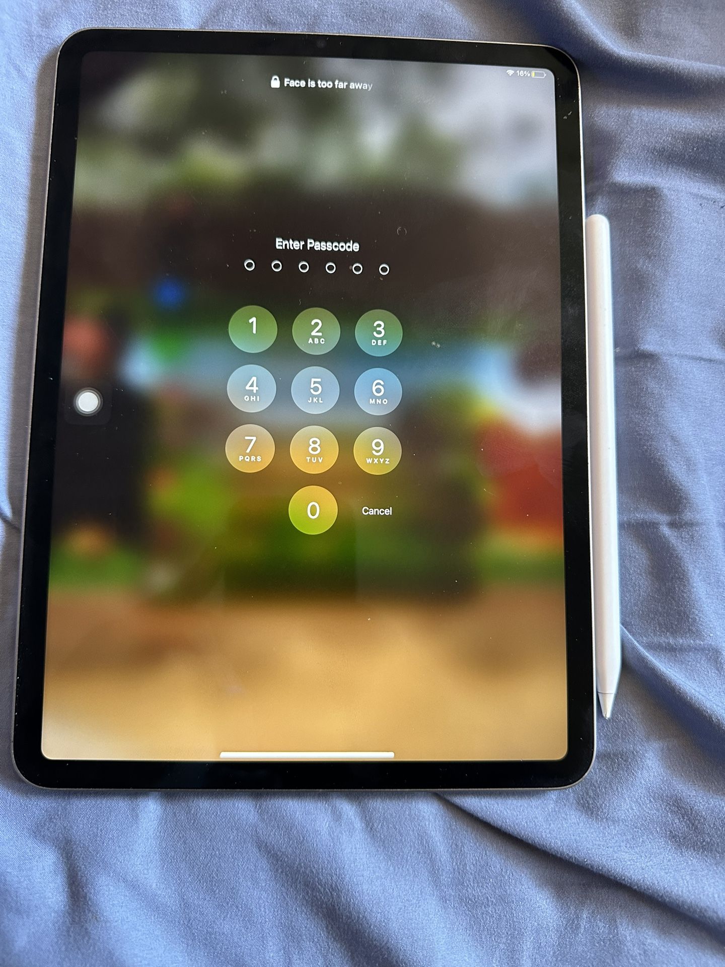 iPad Pro ( 11-inch ) 4th Generation