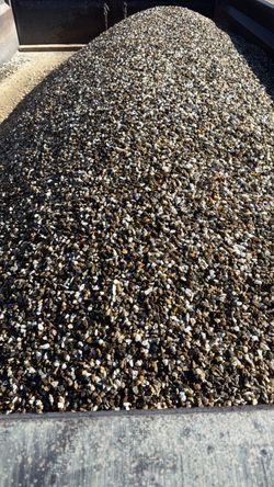 Desert gold / Salt and Pepper
