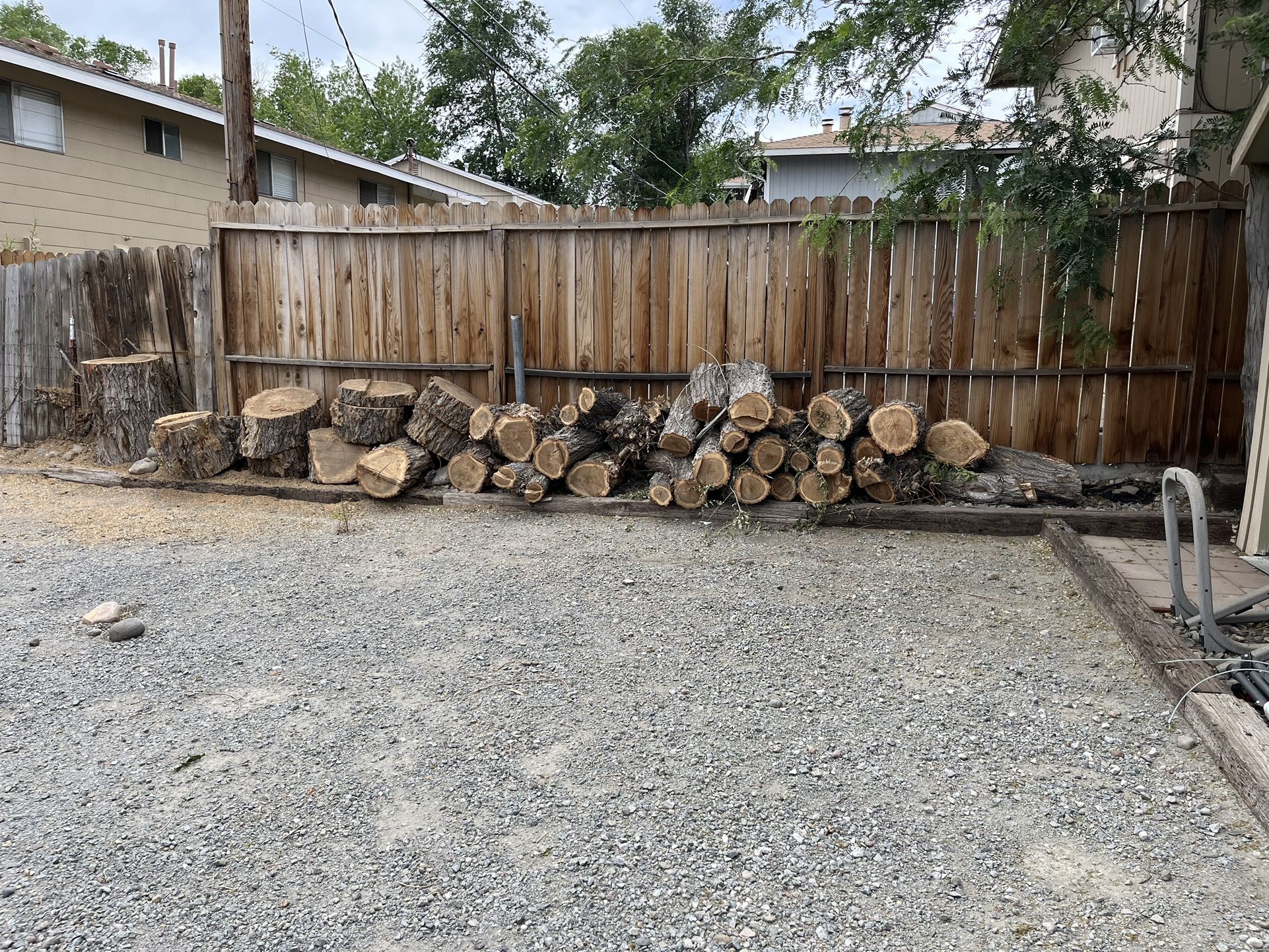 Siberian, Elm. Firewood