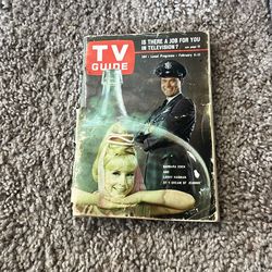 1966 tv guide