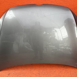 2015 2016 2017 2018 2019 2020 2021 VOLKSWAGEN GTI GOLF HOOD BONNET OEM