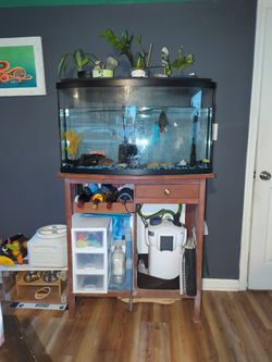 50 gallon Fish Tank And Set Up