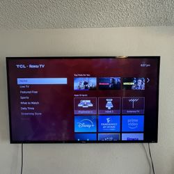 Roku 42inch Tv