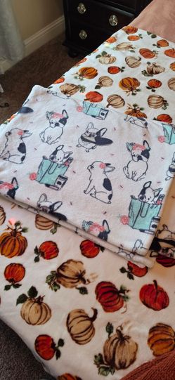 blanket