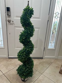 44” Spiral boxwood