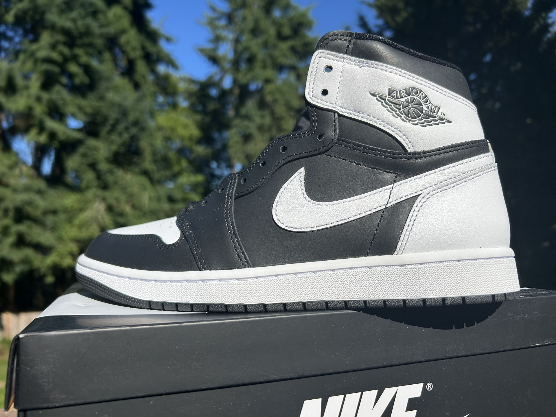 Jordan 1. Sz10. 100.00 Brand New