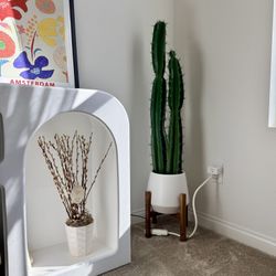 Tall Artificial Cactus Plant w Pot + Wood Stand