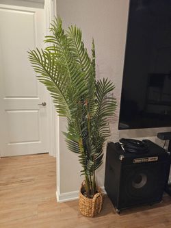Artificial Palm Tree in Woven Basket