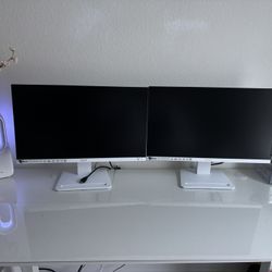 Computer Monitor (1)