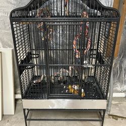 Bird Cage