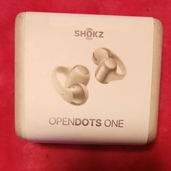 SHOKZ Opendots One