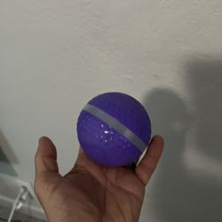 Moving Dog Ball Rechargeable 
