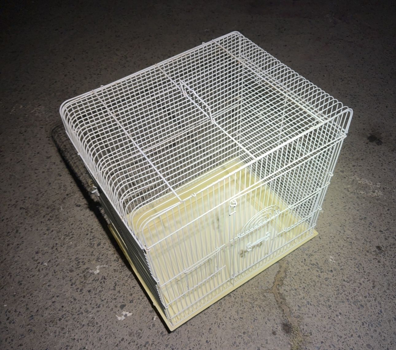 Bird Cage