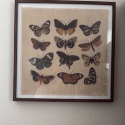 Butterfly Wall Art 