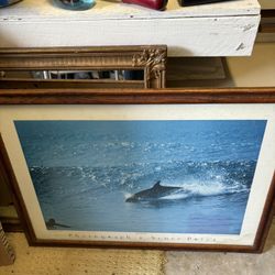 30 “ x  22.” VINTAGE  - SCOTT PRICE. -  DOLPHINS SURFING  🐬🏄‍♂️🏄‍♀️ ( Oak Frame Collectible ) REDUCED FOR FAST SALE 👍👍