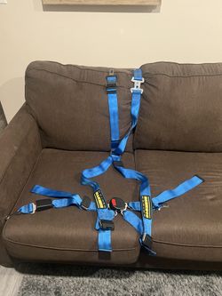 Scroth QuickFit Standard Harness