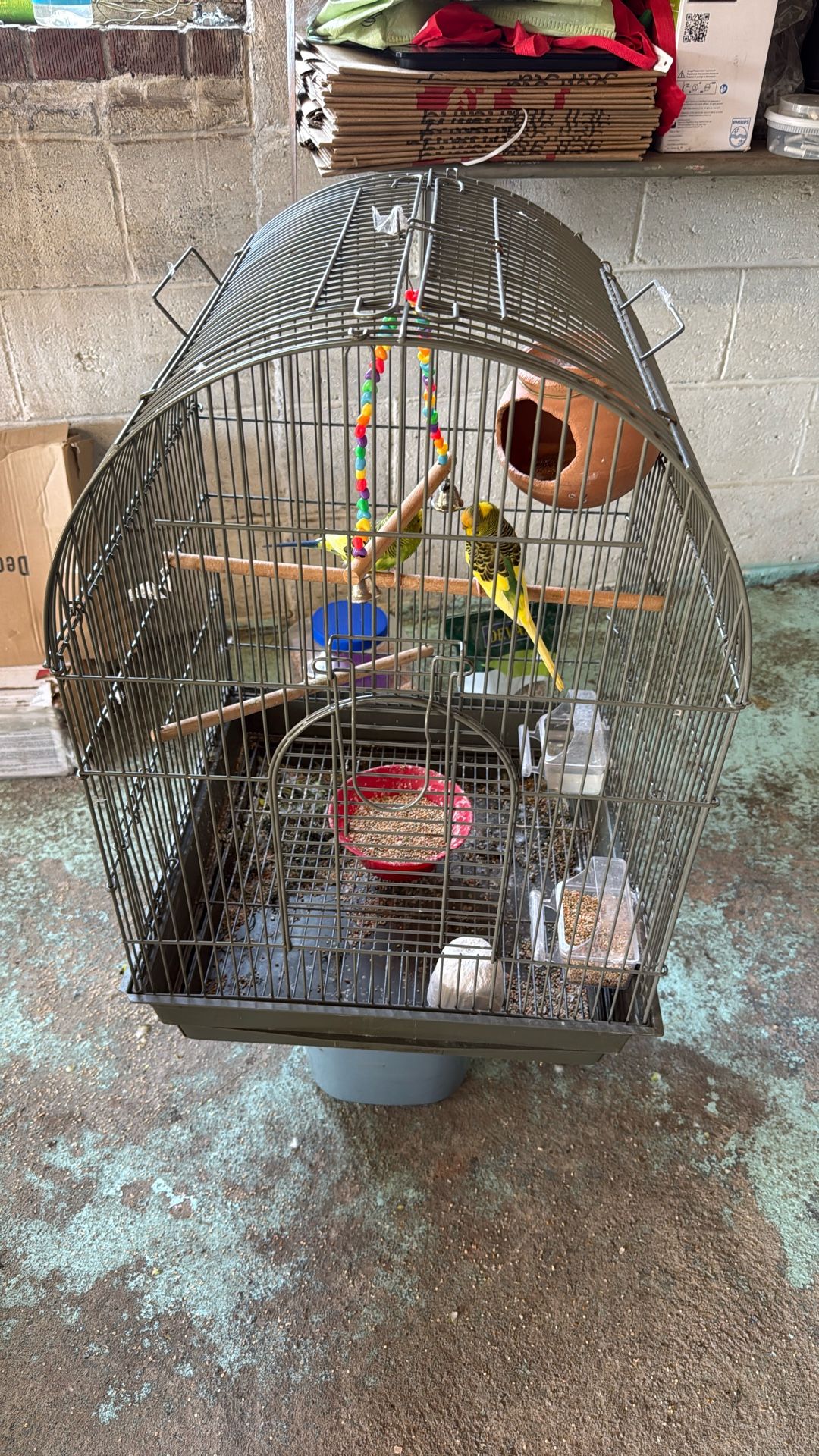 Cage For Birds