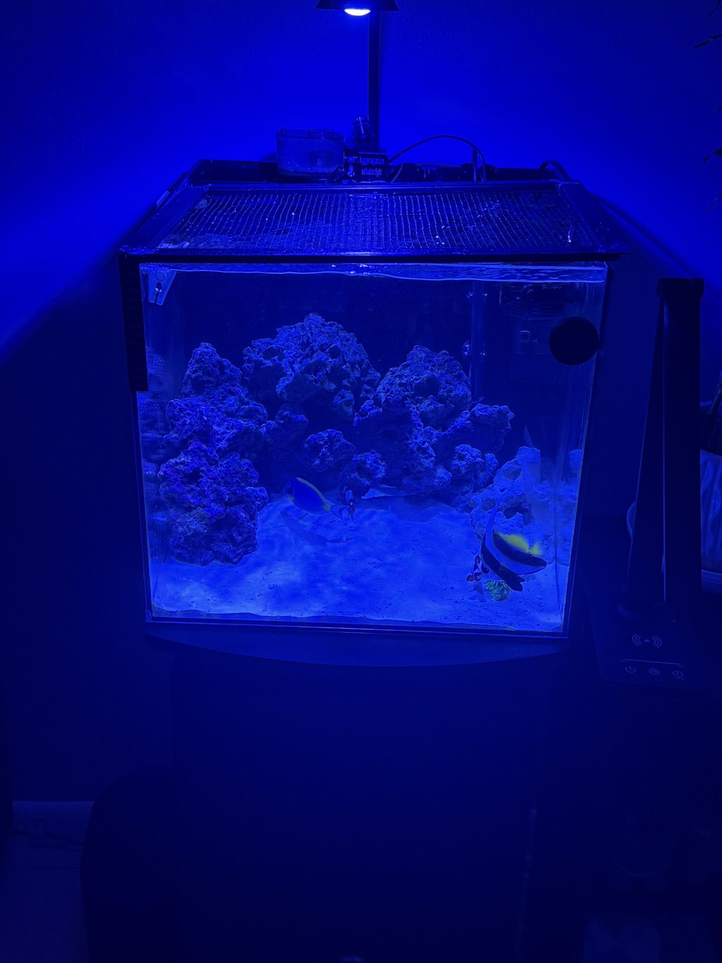 Water box 20 Gallon AIO Nano Tank