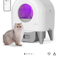 Self-Cleaning Litter Box – Smart