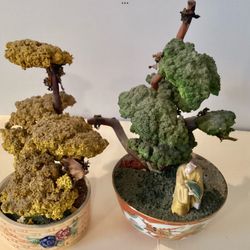 2 Vintage Penjing Asian Chinese Mini Landscapes Preserved Bonsai 1940s-50s Rare