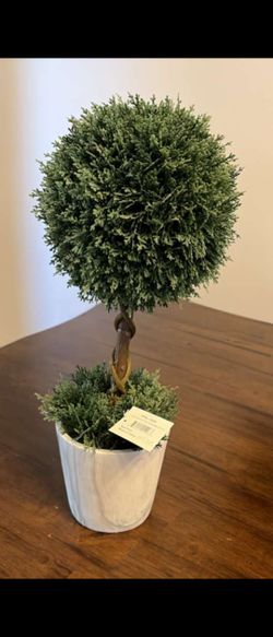Home Decoration Plant Brand New From Homegood