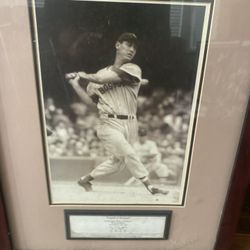 Framed picture of Theodore Samuel Williams baseball player