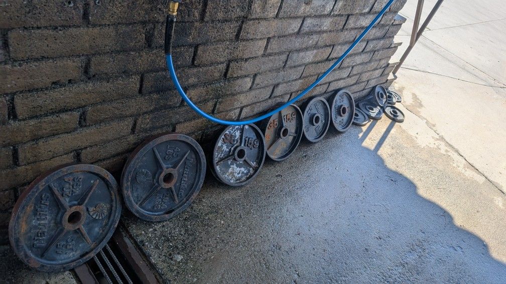 245lb Weight Plates