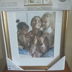 NEW Pkg of Three 11"x14" frames, Matted 8"x10"