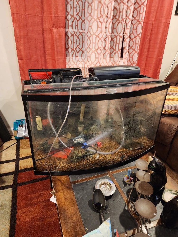 Pecera 55 Galones (Tank 55 Gallon)