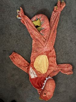 Child Halloween Costume