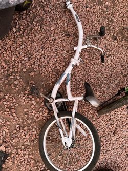 Co-pilot trailer bike