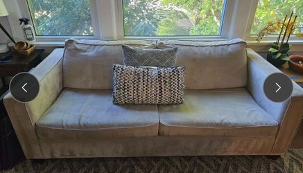 Sofa. Pull out. $100