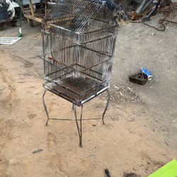 Bird Cage