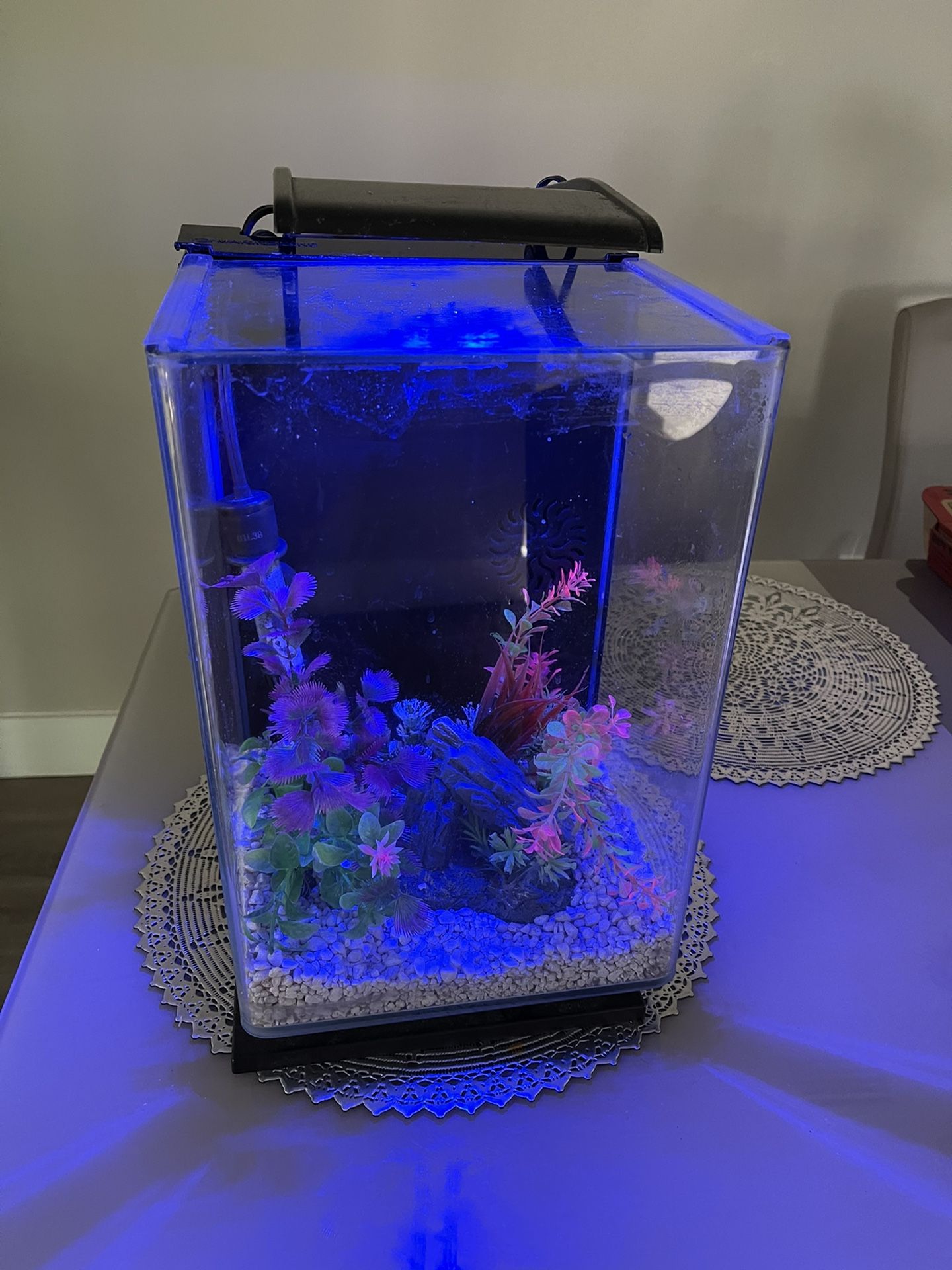 5 Gallon Marineland