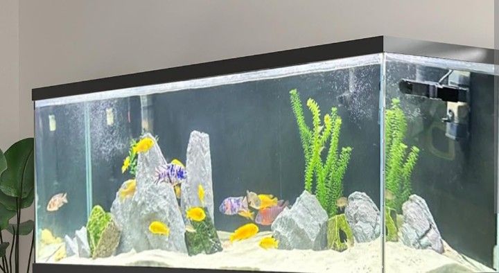 180 Gallon Fishtank With A Stand And Lights
