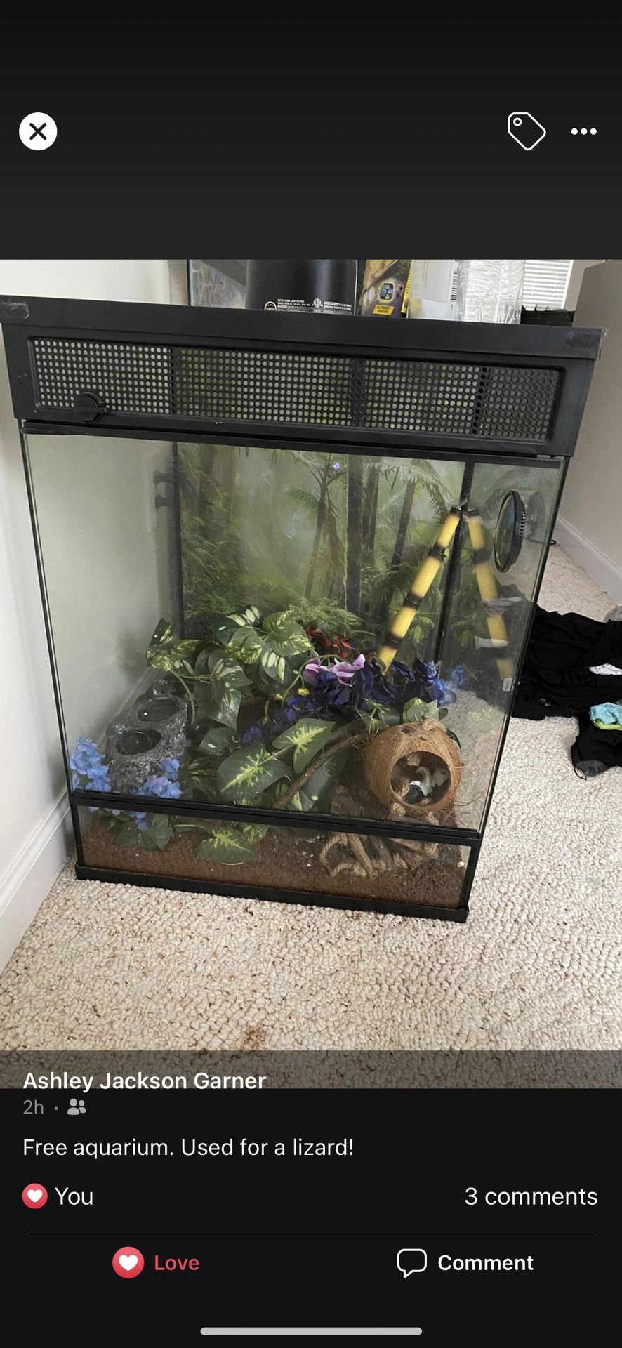Reptile Aquarium