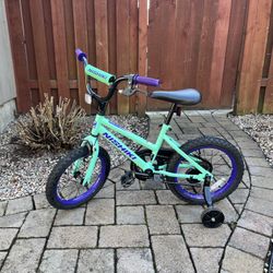 Nishiki Kids Bike