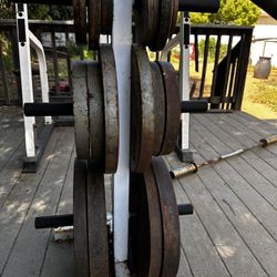 Weights, Squat Rack And Curling Bar 