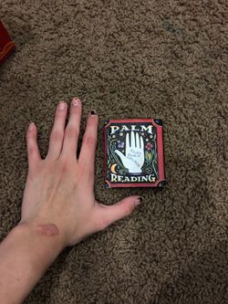 Palm reading book