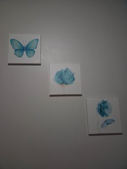 Canvas Set