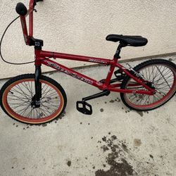 Free Agent / Beach Cruiser