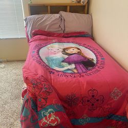 Frozen Bed Set & 2 Canvas Wall Pictures