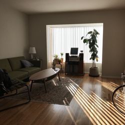 Vintage Green Sofa - Futon - Wooden Legs